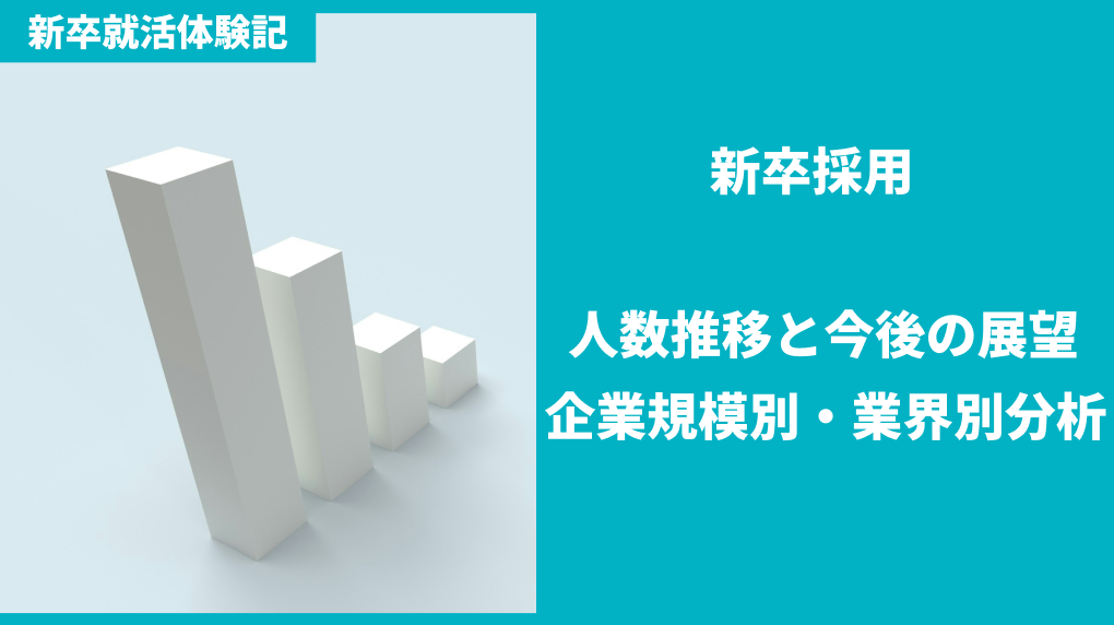 新卒採用の人数推移